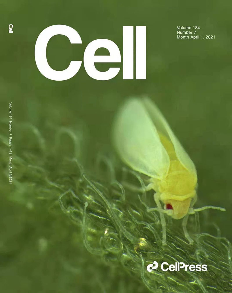 拼搏一站式服务官网产品再登《Cell》杂志