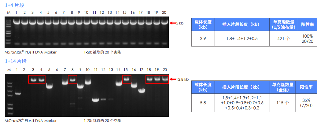 组装效率高