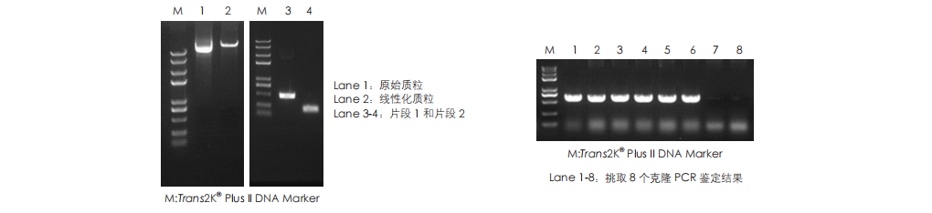 客户反馈数据