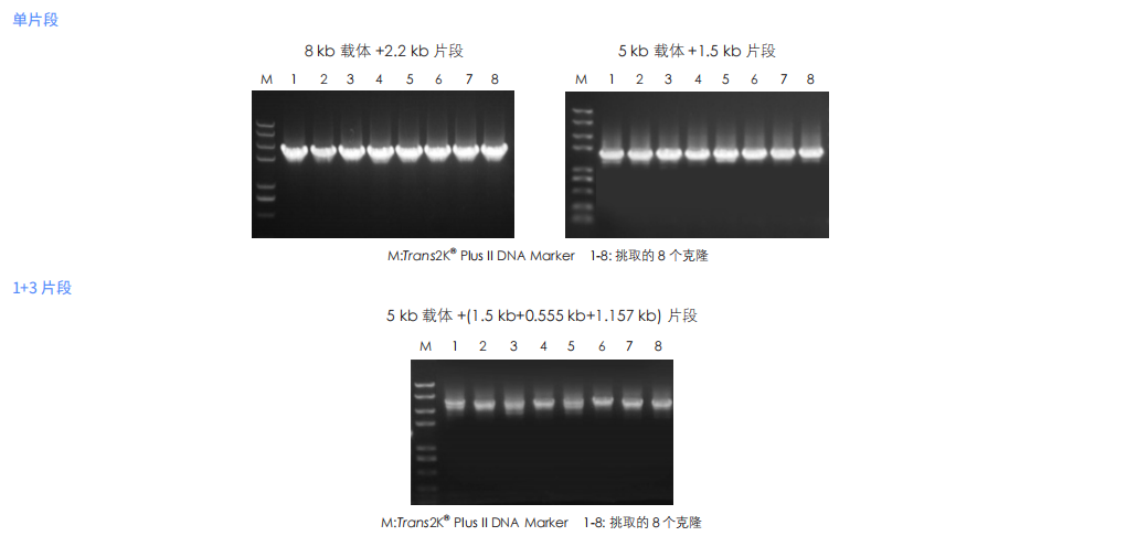 组装效率高